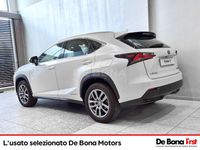 Usata Lexus NX300h Executive Line 197 CV (144 kW) 2017 Other SUV
