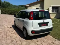 Usata Fiat Panda Pop 69 CV (50 kW) 2019 Bianco Utilitaria