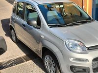 Usata Fiat Panda Easy 69 CV (50 kW) 2018 Grigio Utilitaria