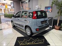 Usata Fiat Panda Easy 69 CV (50 kW) 2017 Grigio Berlina