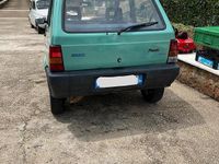 Usata Fiat Panda 54 CV (39 kW) 2003 Verde Utilitaria