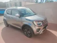 Usata Suzuki Ignis 82 CV (60 kW) 2023 Grigio SUV