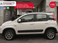 Usado Fiat Panda Cross Cross 95 CV (69 kW) 2017 Beige Utilitario