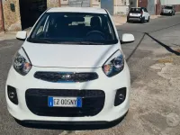 Usata Kia Picanto 67 CV (49 kW) 2015 Bianco Utilitaria