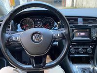 usata VW Golf VII Golf 1.4 TGI DSG 5p. Business BlueMotion