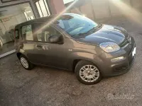 Usata Fiat Panda S 69 CV (50 kW) 2021 Grigio Utilitaria