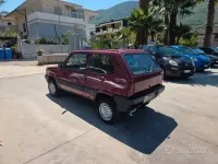 Usata Fiat Panda 4x4 Trekking 50 CV (36 kW) 1992 Rosso Utilitaria
