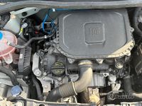 Usata Fiat Panda 70 CV (51 kW) 2023 Bianco Utilitaria