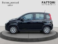 Usata Fiat Panda S 69 CV (50 kW) 2024 Nero Utilitaria