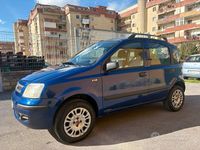 Usata Fiat Panda Dynamic 60 CV (44 kW) 2009 Blu Utilitaria