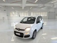 Usata Fiat Panda Easy 84 CV (61 kW) 2018 Bianco Utilitaria