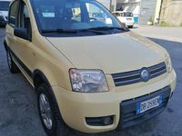 Usata Fiat Panda 4x4 Climbing 69 CV (50 kW) 2006 Giallo Utilitaria