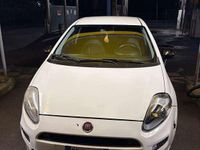 Usata Fiat Punto Lounge 95 CV (69 kW) 2013 Utilitaria