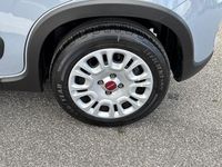 Usata Fiat Panda S 70 CV (51 kW) 2022 Grigio Utilitaria