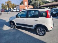 Usata Fiat Panda 4x4 S 74 CV (54 kW) 2012 Bianco Utilitaria