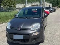 Usata Fiat Panda 69 CV (50 kW) 2018 Grigio Utilitaria