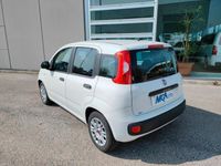 usata Fiat Panda 1.2 EasyPower Easy PER NEOPATENTATI