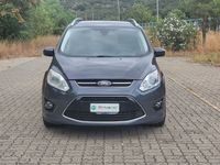 usata Ford C-MAX 2.0 TDCi 163CV Privacar Catanzaro