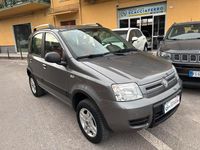 Usata Fiat Panda 4x4 Climbing 69 CV (50 kW) 2010 Grigio Utilitaria