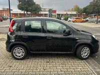 Usata Fiat Panda 2023 Nero Utilitaria