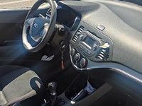 Gebraucht Kia Picanto 66 PS (48 kW) 2015 Weiß Kleinwagen