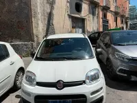 Usata Fiat Panda 70 CV (51 kW) 2022 Bianco Utilitaria