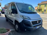 Usata Fiat Ducato 116 CV (85 kW) 2019 Bianco Furgone
