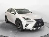 Usata Lexus NX300h 197 CV (144 kW) 2020 Bianco perla SUV