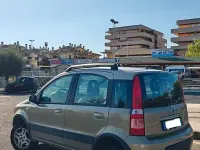 Usata Fiat Panda 4x4 69 CV (50 kW) 2007 Utilitaria