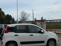 Usata Fiat Panda 75 CV (55 kW) 2015 Bianco Utilitaria