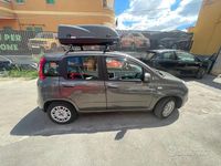 Usata Fiat Panda Easy 69 CV (50 kW) 2021 Marrone Utilitaria