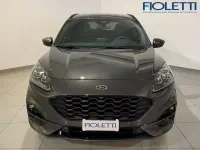 Usata Ford Kuga ST-Line 120 CV (88 kW) 2022 Grigio SUV