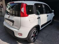 Usata Fiat Panda S 69 CV (50 kW) 2021 Other Utilitaria