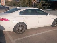 Usata Jaguar XF 240 CV (176 kW) 2015 Bianco Berlina