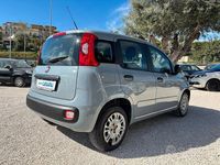 Usata Fiat Panda 69 CV (50 kW) 2019 Grigio Utilitaria