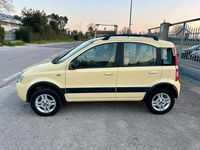 Usata Fiat Panda 4x4 Climbing 70 CV (51 kW) 2005 Giallo Utilitaria