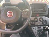 Usata Fiat Panda 84 CV (61 kW) 2023 Bianco Utilitaria