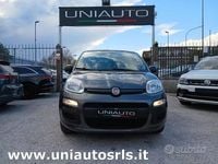 Usata Fiat Panda Lounge 69 CV (50 kW) 2019 Grigio Utilitaria