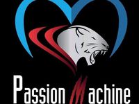 Usata Fiat Punto Evo 78 CV (57 kW) 2011 Bianco Utilitaria