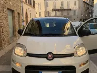 Usata Fiat Panda Young 80 CV (58 kW) 2016 Utilitaria