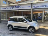 Usata Fiat Panda 4x4 75 CV (55 kW) 2014 Argento Utilitaria