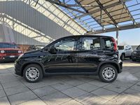 usata Fiat Panda 1.0 FireFly 70cv S&S Hybrid