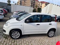 Usata Fiat Panda Easy 71 CV (52 kW) 2018 Bianco Utilitaria