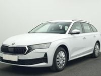 Usata Skoda Octavia Executive 116 CV (85 kW) 2025 Bianco Station wagon