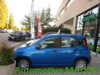 Nuova Fiat Panda Icon 65 CV (47 kW) 2026 Bluazzurro Utilitaria