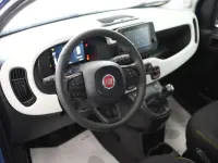 Usata Fiat Panda Cross Cross 69 CV (50 kW) 2025 Blu italia Utilitaria