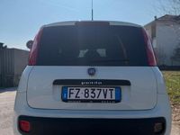 Usata Fiat Panda Easy 69 CV (50 kW) 2020 Utilitaria