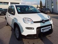 Usata Fiat Panda S 69 CV (50 kW) 2025 Bianco Utilitaria