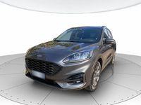 Usata Ford Kuga ST-Line X 190 CV (139 kW) 2022 Grigio SUV