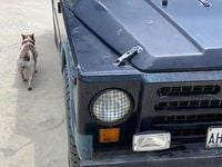 Usata Fiat Campagnola 80 CV (58 kW) 1990 Blu SUV